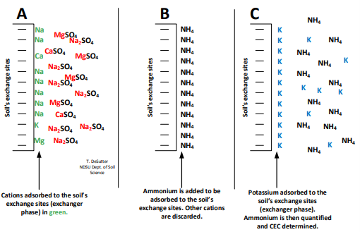 Figure 7.5. Method used to determine CEC. The ammonium acetate is added to the soil. The ions in solution are then flushed from the soil and discarded, leaving the ammonium ions on the exchange site. Then K acetate is added to the soil, which replaces the ammonium on the exchange surfaces, and the ammonium is then analyzed in the resulting solution to determine CEC. (NDSU image)